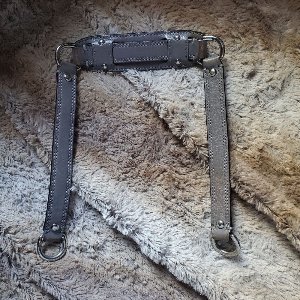Ashley strap coach